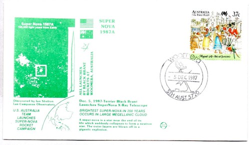 Australia terrier black - &,